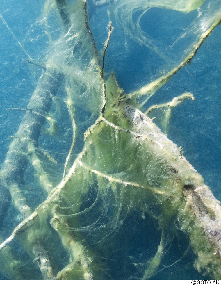 GOTO AKI 写真集出版記念展「terra | Landscape Topologies (風景のトポロジー)」