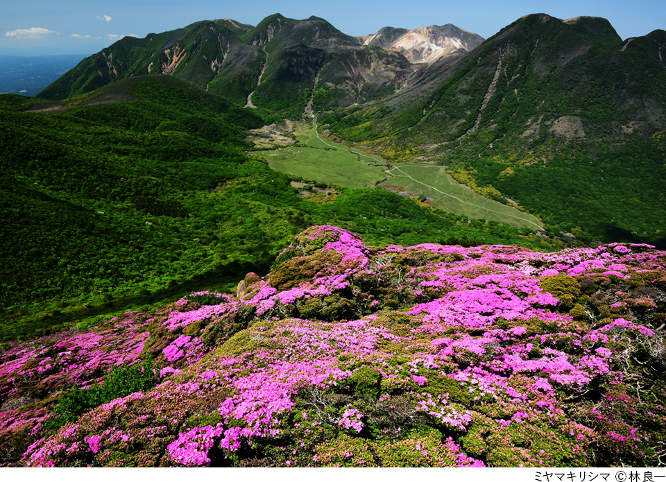迫力の山岳写真から山の花まで300作品以上が一堂に 2026全日本山岳写真