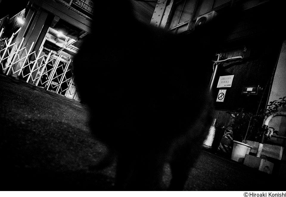 小西弘晃写真展「PROXEMICS」