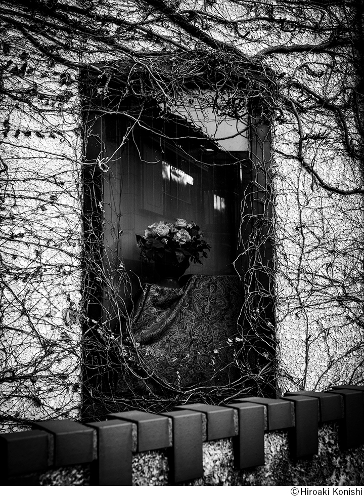 小西弘晃写真展「PROXEMICS」