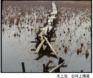 井上博道写真展「大和のこころとかたち」―今よみがえる、奈良の写真遺産―