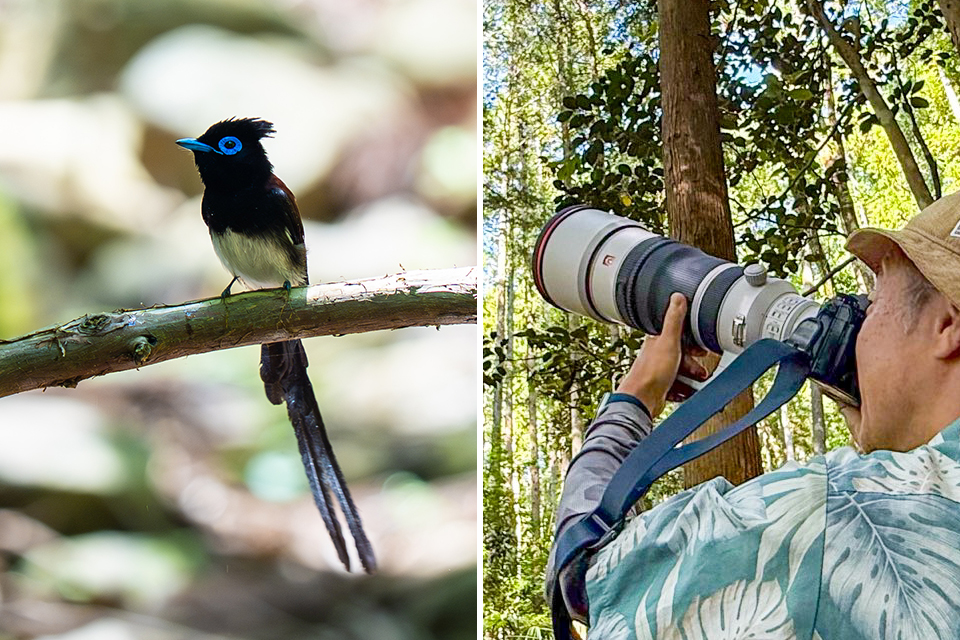 実写レビュー！ F4.5通しの超望遠ズーム「ソニー FE 100-400mm F4.5 GM