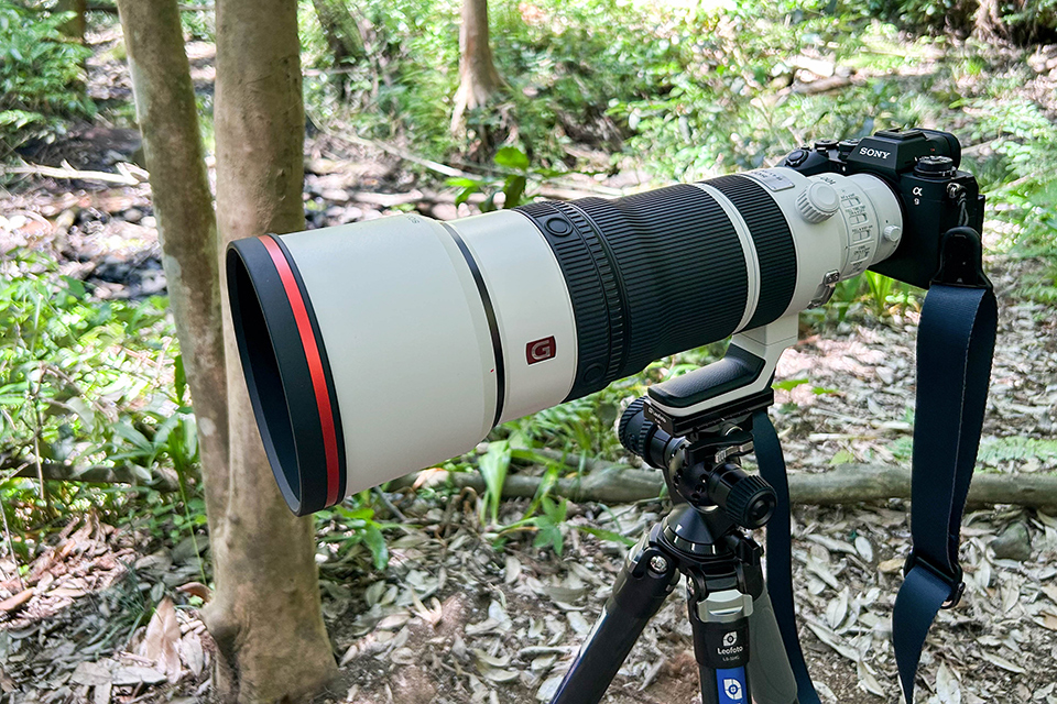 実写レビュー！ F4.5通しの超望遠ズーム「ソニー FE 100-400mm F4.5 GM
