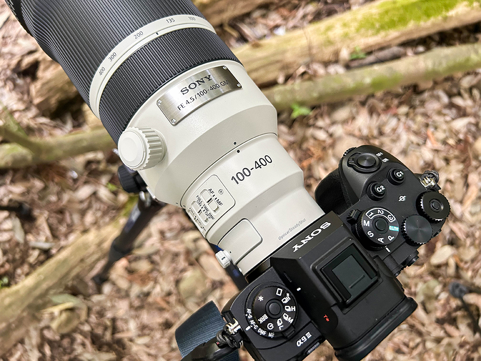 FE 100-400mm F4.5 GM OSS 実写レビュー