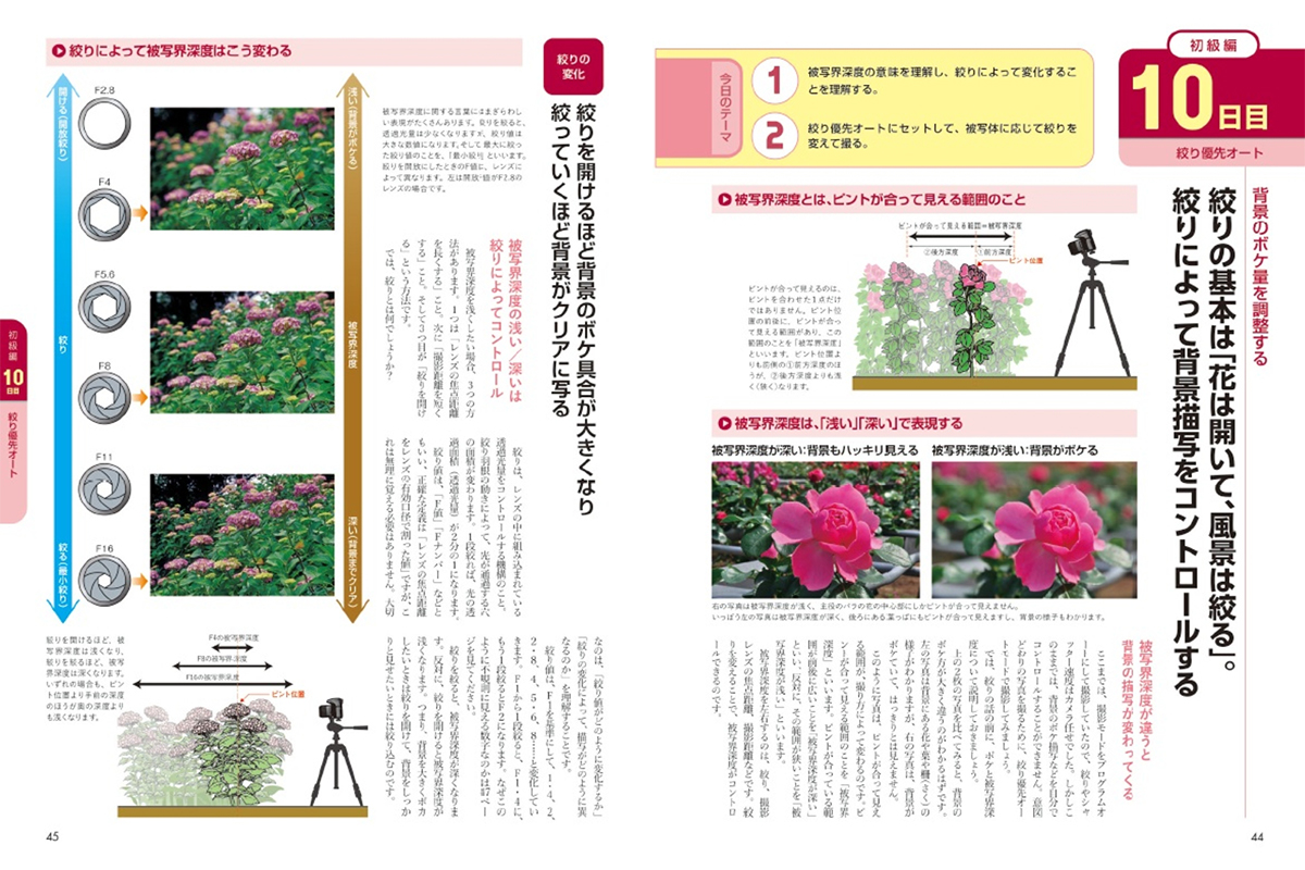 ミラーレス一眼カメラ30日でマスター