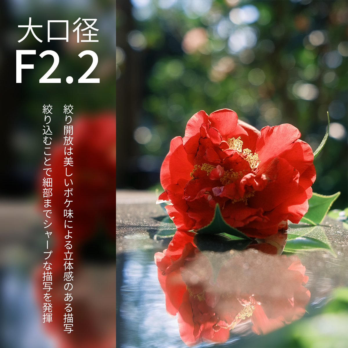 実売約3万円！ 軽量コンパクトな広角レンズ「SG-image AF 35mm F2.2