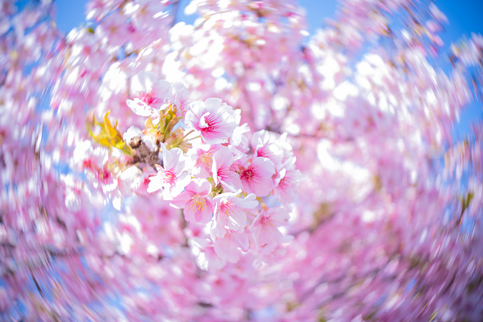 Lensbaby Twist 28