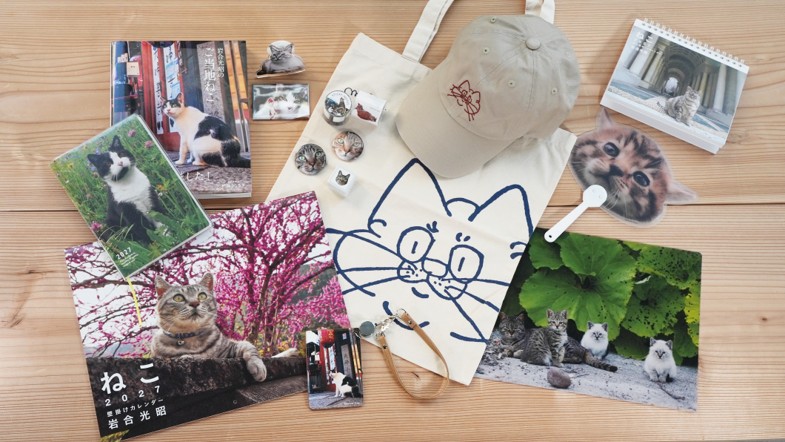 岩合光昭写真展「ご当地ねこ」