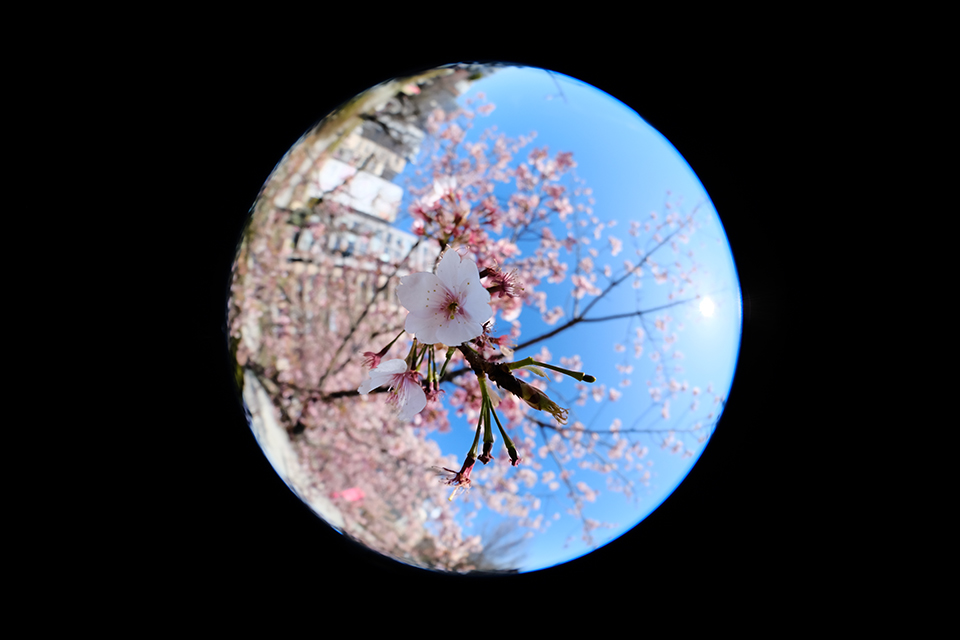 LAOWA 4.5-10mm F2.8 CF Zoom Fisheye