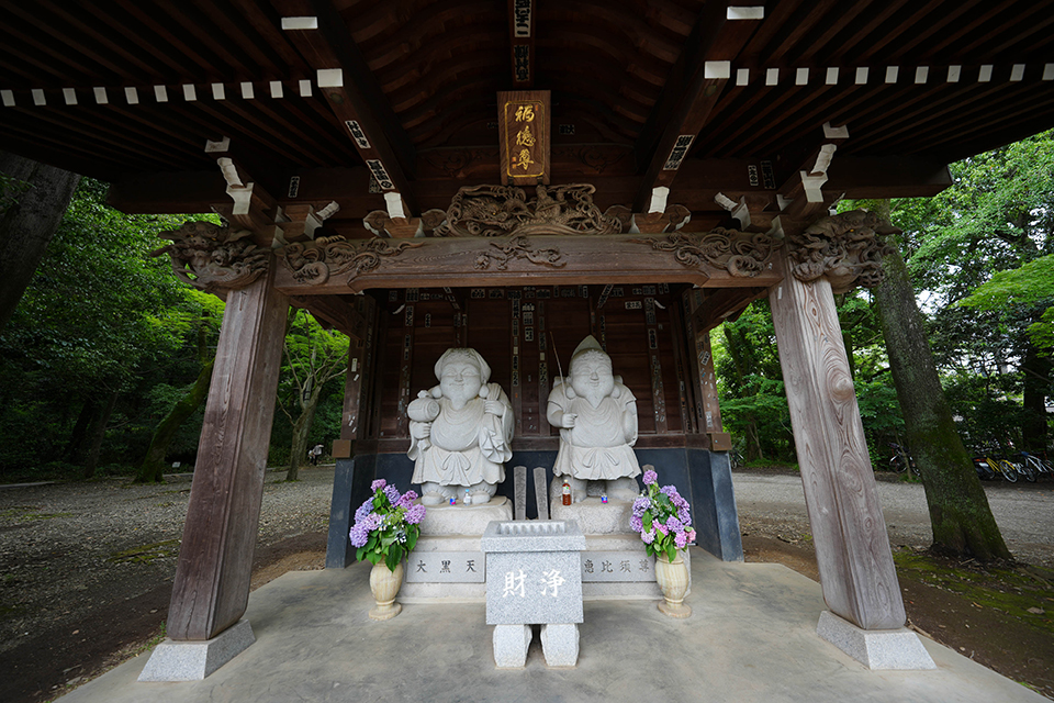 タムロン 12-20mm F2.8 実写チェック