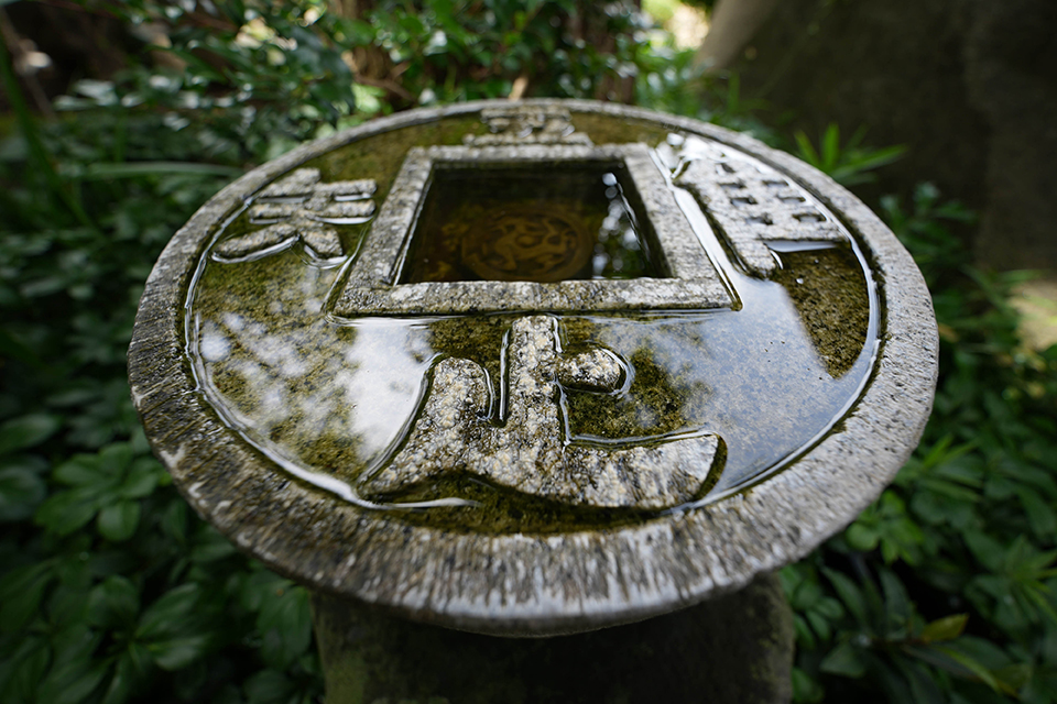 タムロン 12-20mm F2.8 実写チェック
