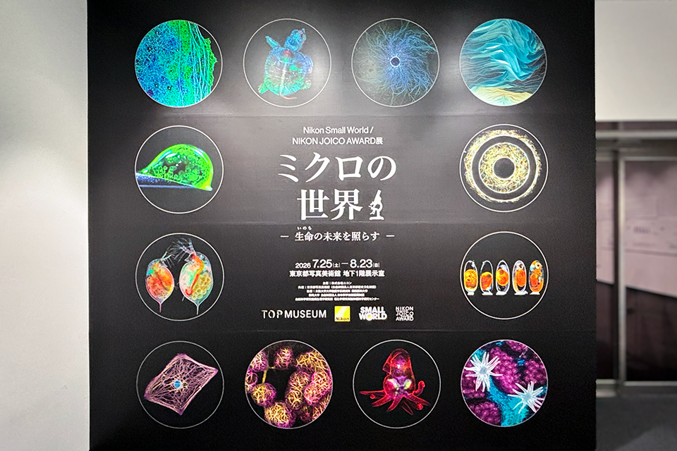 Nikon Small World / NIKON JOICO AWARD展「ミクロの世界 －生命 (いのち) の未来を照らす－」