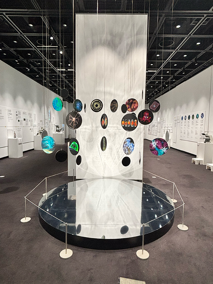 Nikon Small World / NIKON JOICO AWARD展「ミクロの世界 －生命 (いのち) の未来を照らす－」