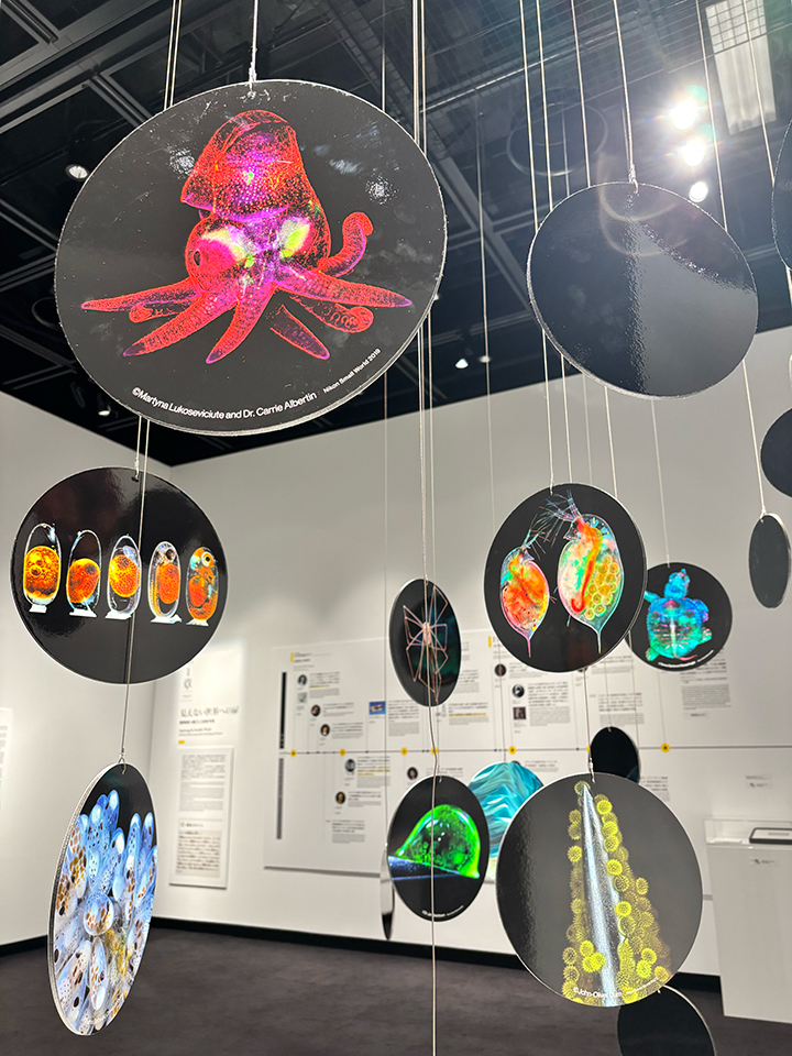 Nikon Small World / NIKON JOICO AWARD展「ミクロの世界 －生命 (いのち) の未来を照らす－」