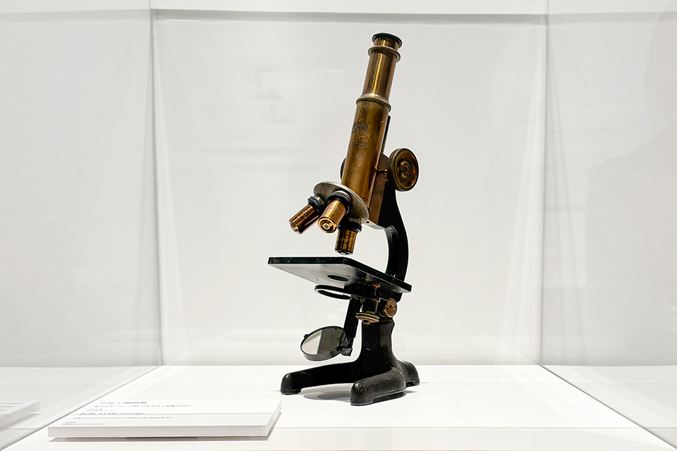 Nikon Small World / NIKON JOICO AWARD展「ミクロの世界 －生命 (いのち) の未来を照らす－」