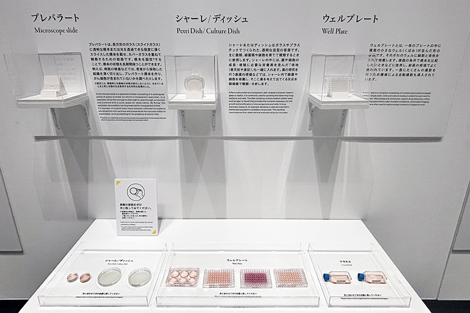 Nikon Small World / NIKON JOICO AWARD展「ミクロの世界 －生命 (いのち) の未来を照らす－」