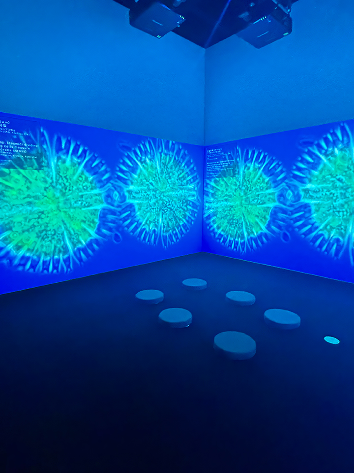 Nikon Small World / NIKON JOICO AWARD展「ミクロの世界 －生命 (いのち) の未来を照らす－」