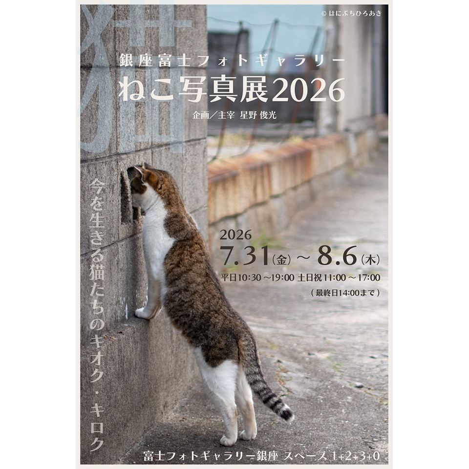45人が撮った猫の写真100点以上が勢ぞろい「ねこ写真展2026 ～今を