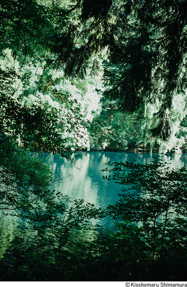 嶌村吉祥丸写真展「what matters」