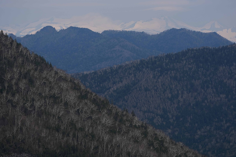 FE 100-400mm F5.6-8 OSS