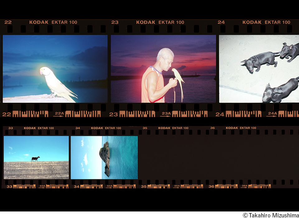 GRAPHGATE企画展：水島貴大個展「環島回憶錄 / Memoirs of Huandao / Taiwan 2020-2025 / Contact sheets」