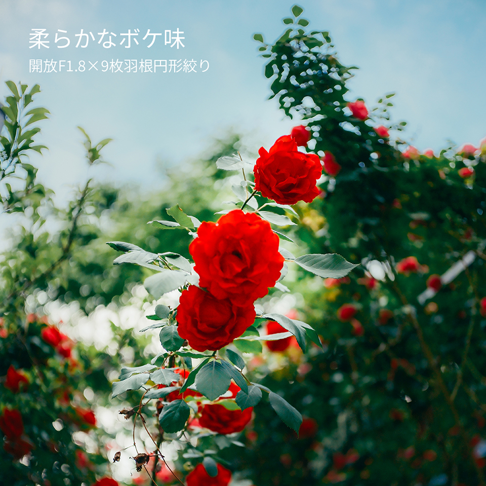 SG-image AF 25mm F1.8 マイクロフォーサーズマウント