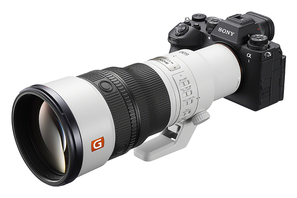 FE 600mm F6.3 GM OSS