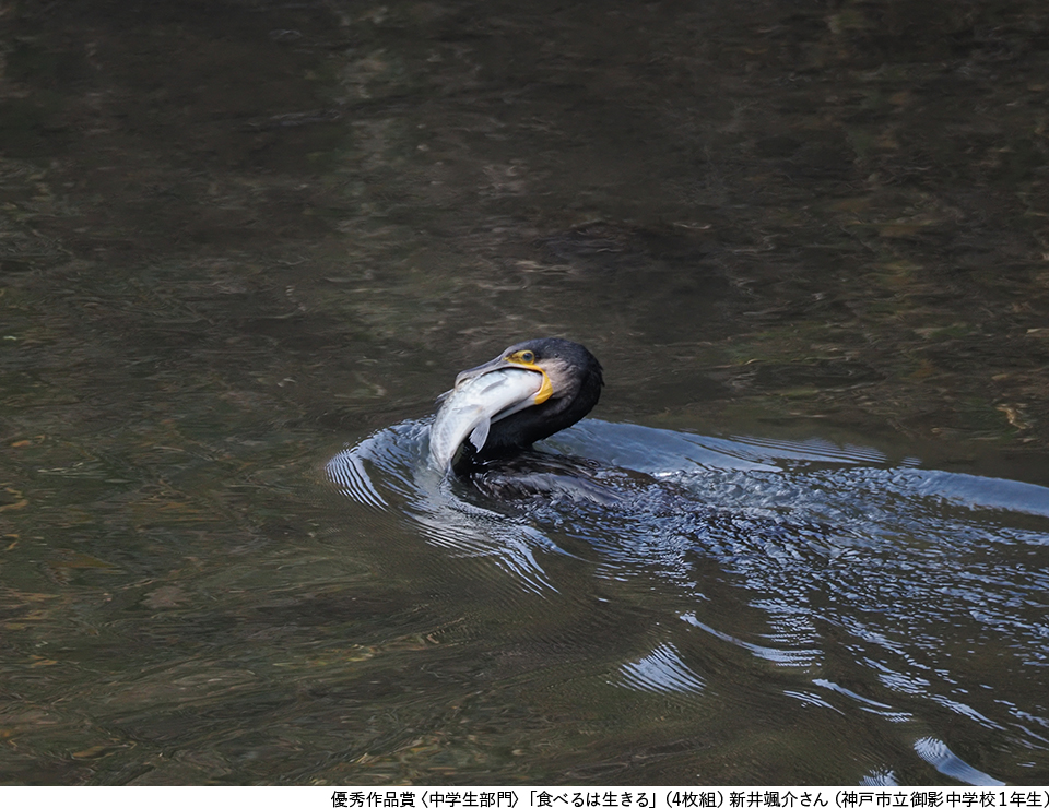 第9回 生きもの写真リトルリーグ 2026 表彰式