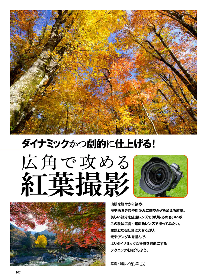 CAPA 2026年11月号