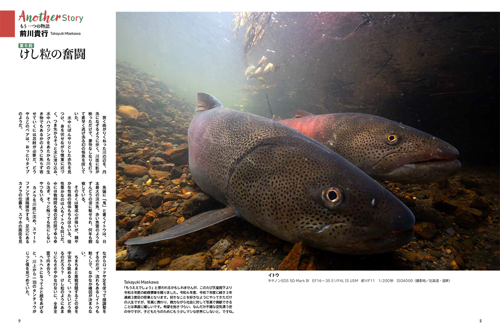 CAPA 2026年11月号