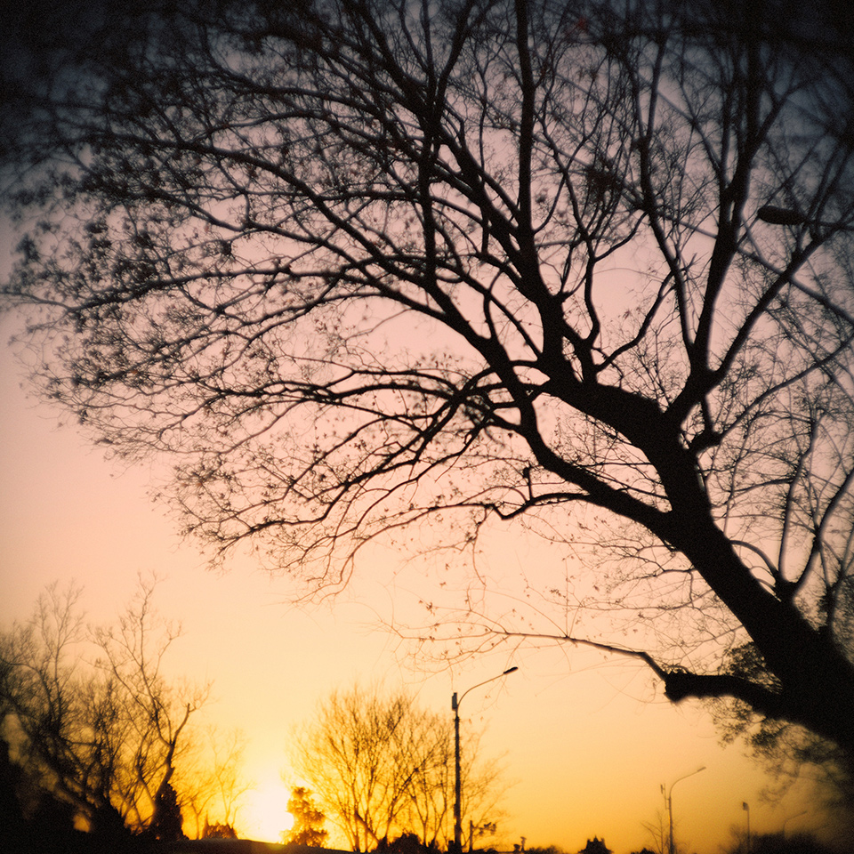 TRIBUTE 01 - LTM50mm f/1.1