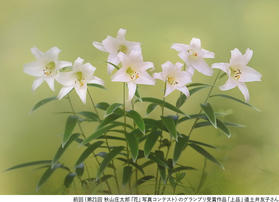 約2500点の応募作品から選ばれた頂点が決定！ 第22回 秋山庄太郎「花