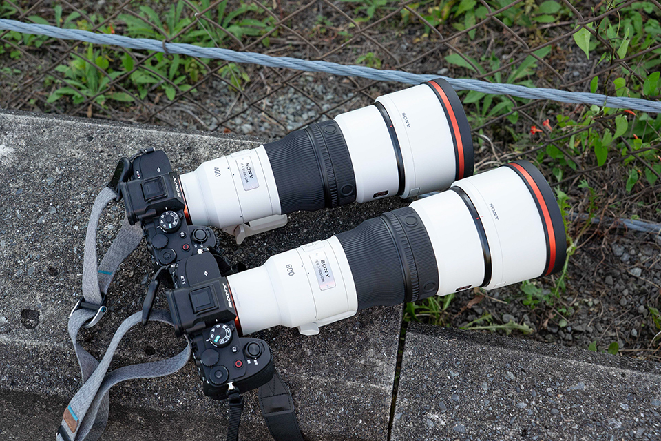 FE 400mm F4.5 GM OSS ＆ FE 600mm F6.3 GM OSS 実写レビュー