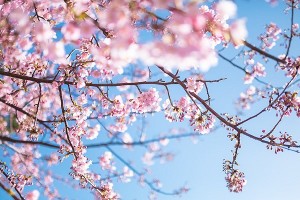 150331-1