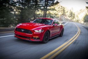 mustang_07_2015Mustang_t5e9701