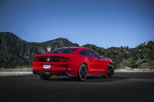 mustang_08_2015Mustang_t6r8184