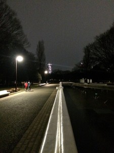IMG_3126