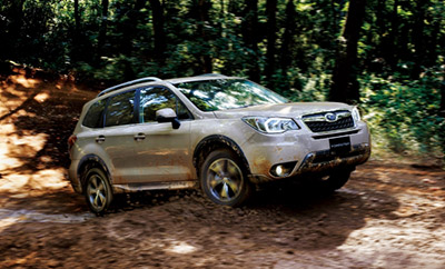 suv_ph02