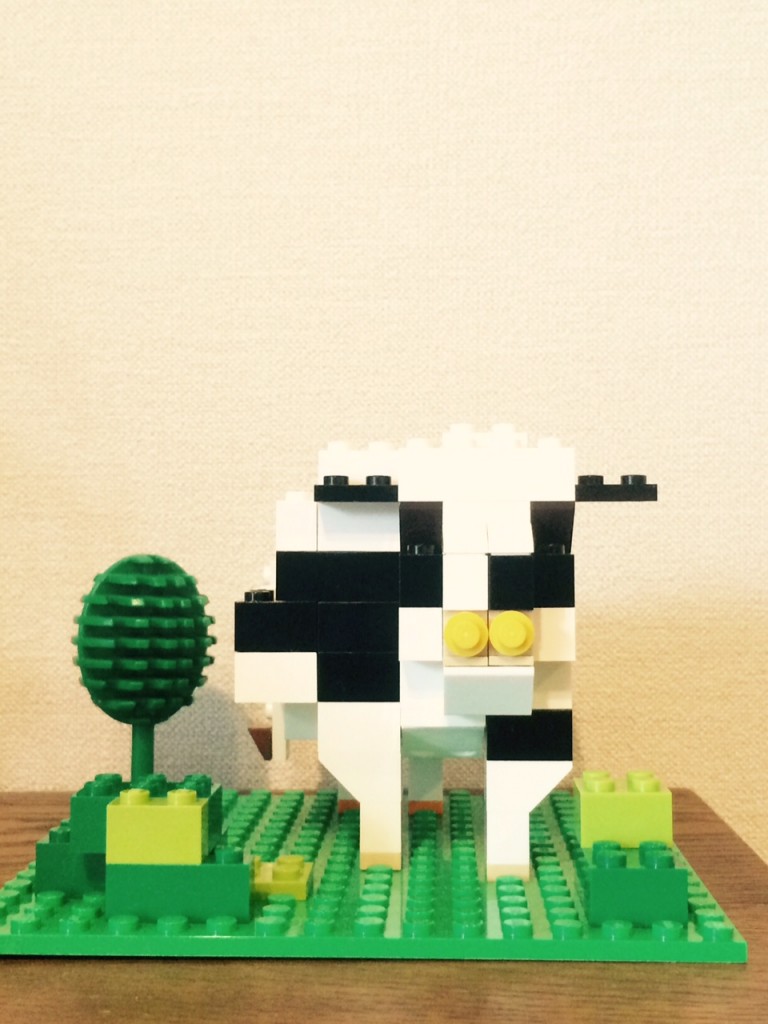 FullSizeRender