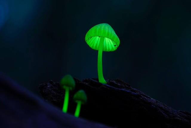 gnw150918_03_06