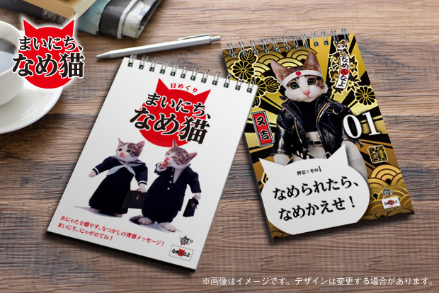 あの「なめ猫」が「ネコノミクス」を背景にクラウドファンディングで復活！
