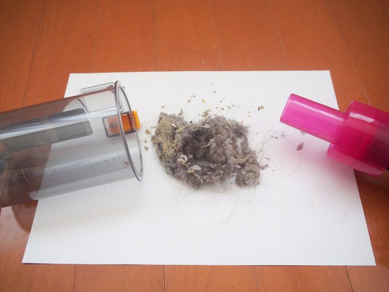 ↑短時間の掃除で、こんなにゴミが!! 髪の毛やホコリ、細かい粉塵まで、あらゆるゴミを吸引している