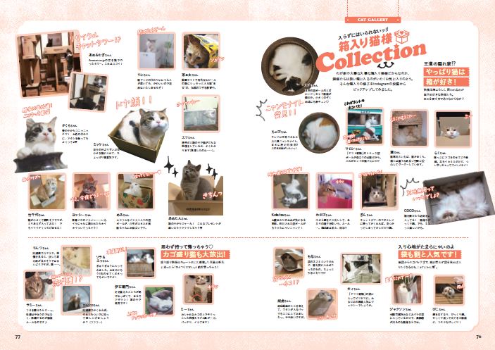 箱入り猫さまコレクションやファッションスにゃップなど、かわいいおもしろ猫さま写真がズラリ