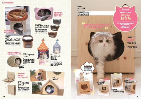 ↑愛するにゃんこや自分のために買って上げたい猫グッズが、きっと見つかるはず!