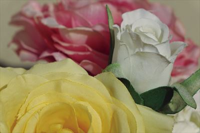 099-19_R