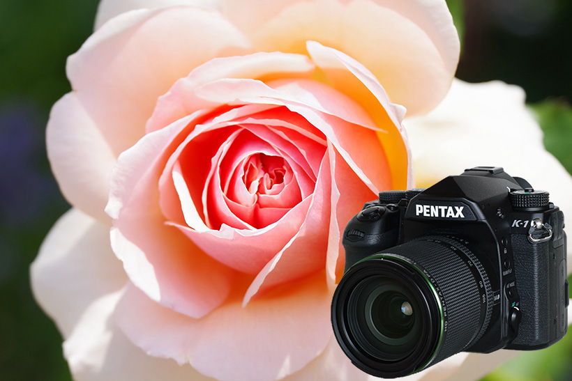 フルサイズを超えた何かを感じさせる! ペンタックス党ならずとも必見の「PENTAX K-1」【レビュー】