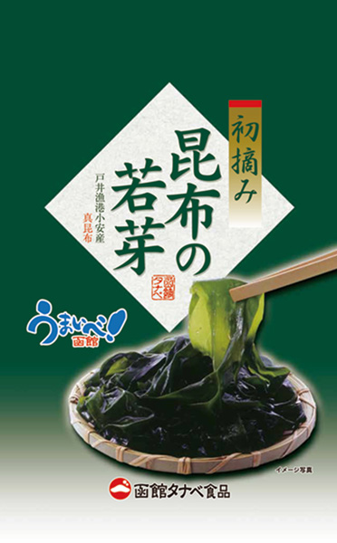 昆布の若芽11.1.24最終OL