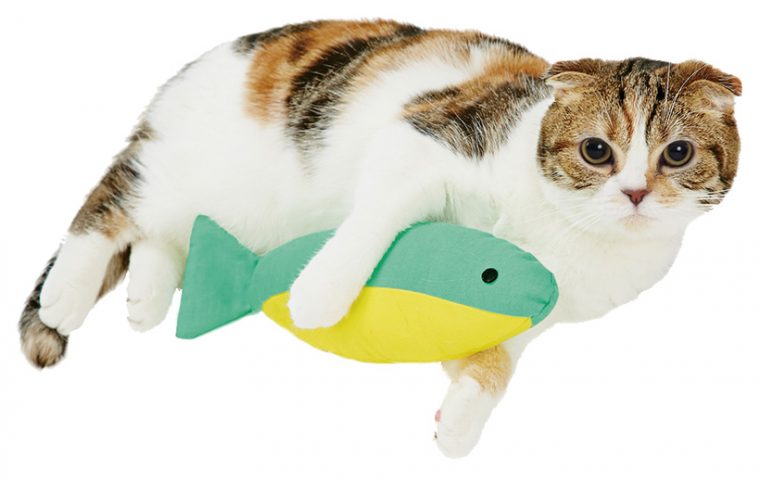 猫ちゃんが喜ぶ姿を見るならコレ! にゃんこの「おもちゃ」ベストセレクト