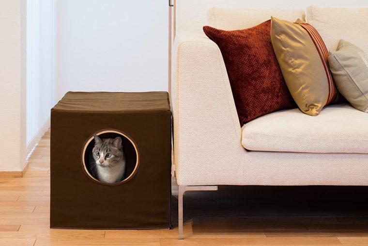 オシャレでお掃除もラク! 猫ちゃんが安心して使える「進化系トイレ」6選