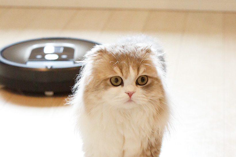 ネコの毛＆ニオイを駆逐せよ! 飼い主必見の最新「クリーニング家電」4選